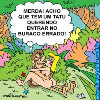 /album/galeria-de-fotos/a00188-jpg/